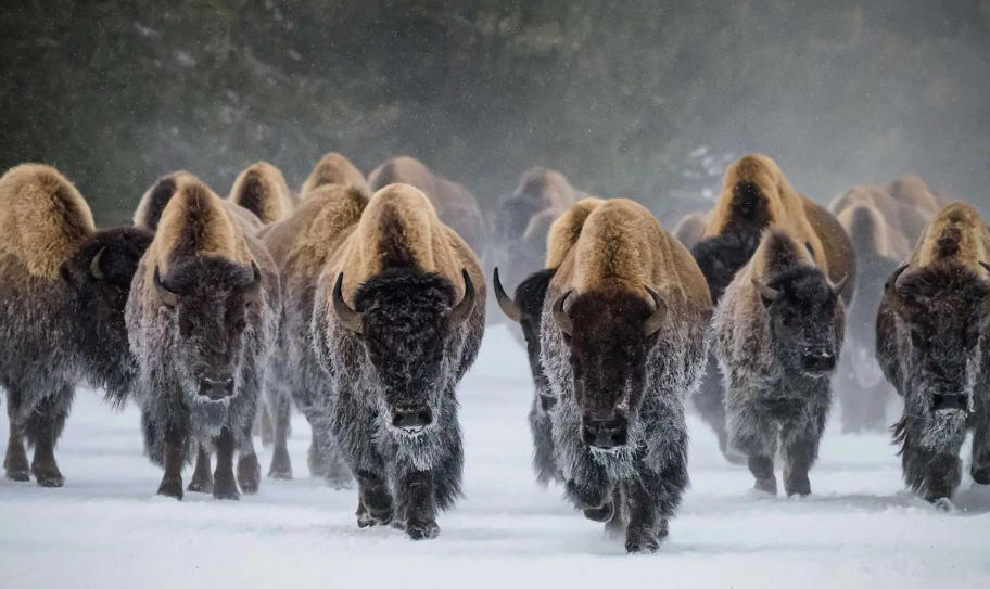 江苏艾乐米信息技术有限公司轮播图2